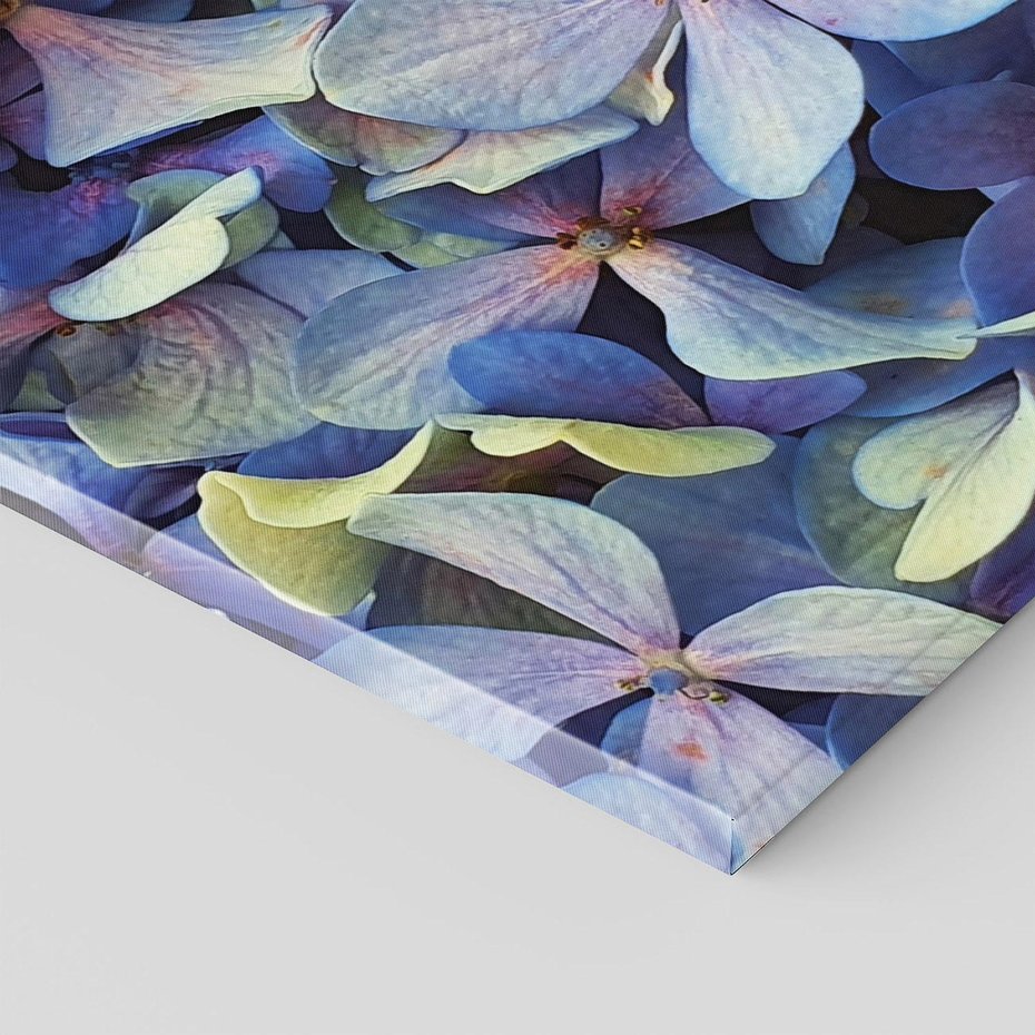 Obraz na płótnie 80x80 - Hortensja - delikatność kwiatów - hortensja, kwiaty