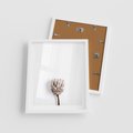 Plakat w ramie 40x50 - Suszona Roślina na Białym Tle - minimalizm, suszona roślina - rama biała