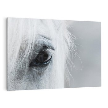 Obraz na płótnie 120x80 - Oko Mocy - czarno białe zdjęcie, zbliżenie makro na oko konia