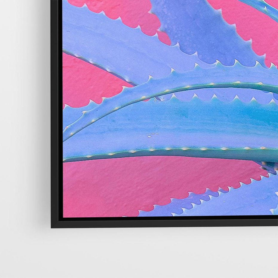 Obraz w ramie 70x50 - Piękno Pustyni - kaktusy, liście - rama czarna