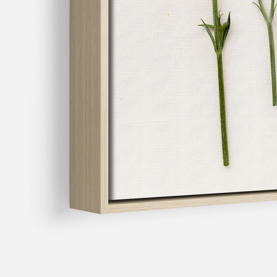 Obraz w ramie 70x100 - Białe kwiatowe uniesienia - białe, kwiaty - rama drewno