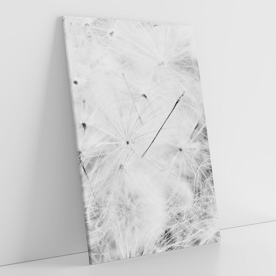 Obraz na płótnie 50x70 - Zdmuchnięty Puch - dmuchawce, delikatne