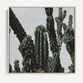 Obraz w ramie 80x80 - Boho oaza wśród kaktusów - kaktusy, pustynia - rama drewno