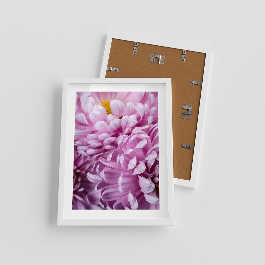 Plakat w ramie 30x40 - Fioletowy zawrót głowy - kwiat, różowy kwiat - rama biała