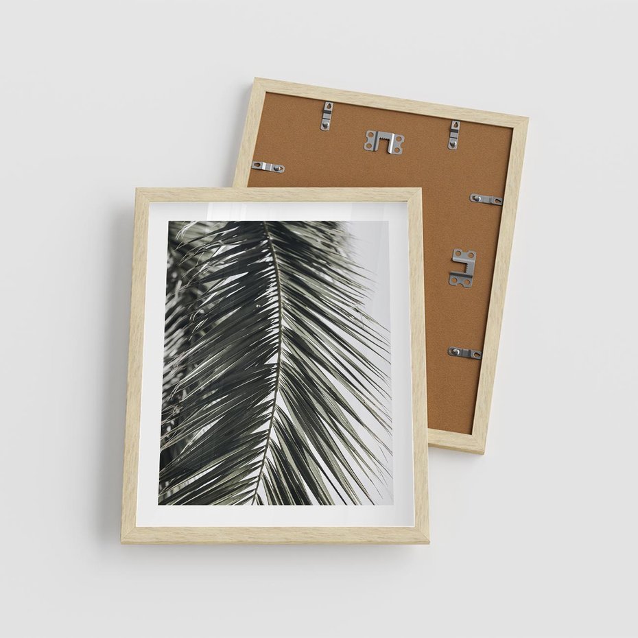 Plakat w ramie 40x50 - Liść Palmy: Egzotyczny Detal Natury - palma, liść palmy - rama drewno