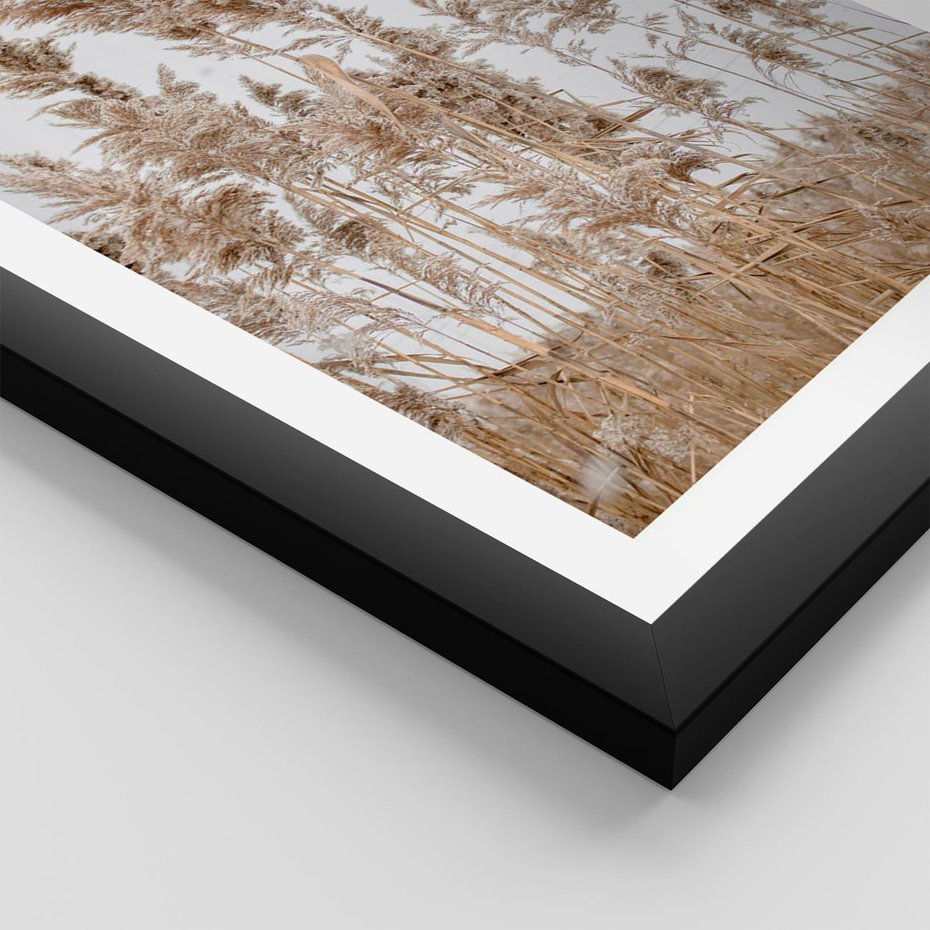 Plakat w ramie 30x40 - Boho Urok - trawy, pampas - rama czarna