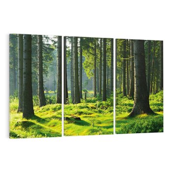 Obraz na płótnie 120x80 - Idylliczny las - las, drzewa