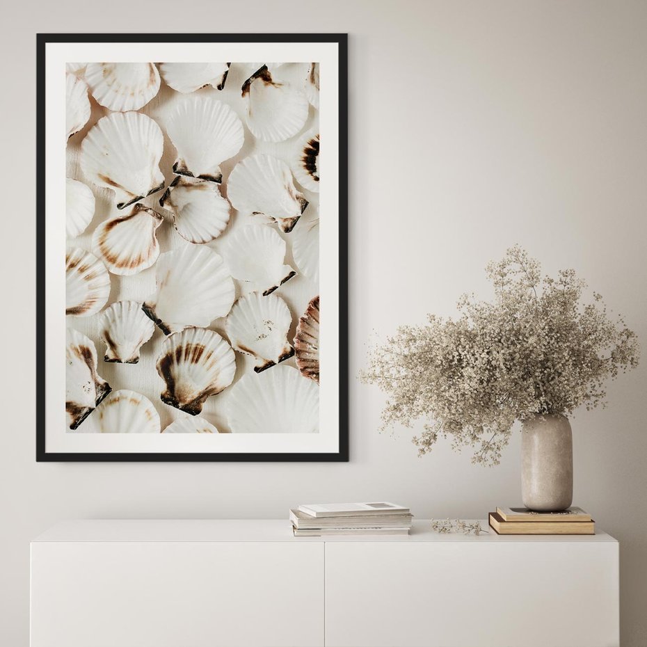Plakat bez ramy 30x40 - Białe Muszle - białe muszle, ujęcie z góry