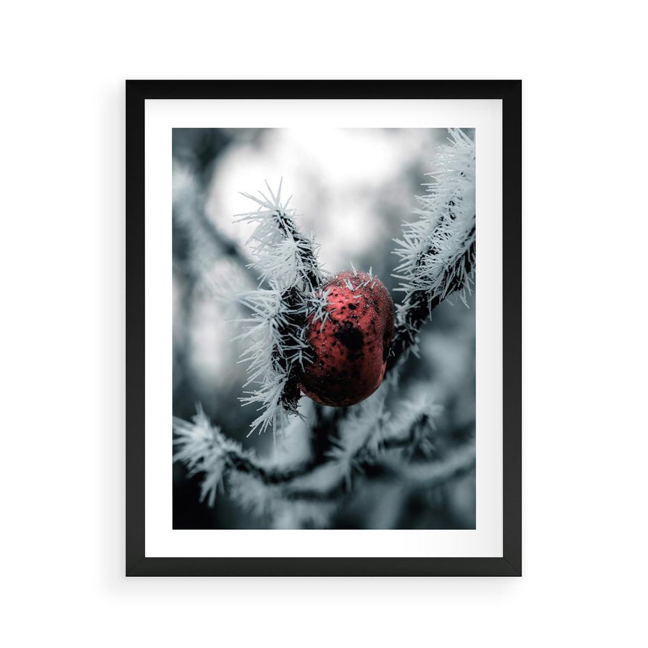 Plakat w ramie 40x50 - Chwila Zimowego Uroku - zima, ośnieżona gałązka - rama czarna