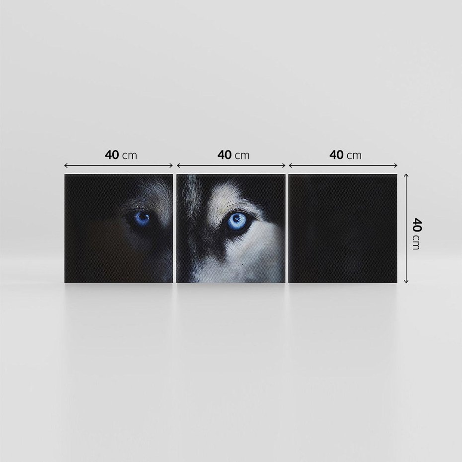 Obraz na płótnie 120x40 - Wilk i husky: siła przyjaźni - wilk, husky