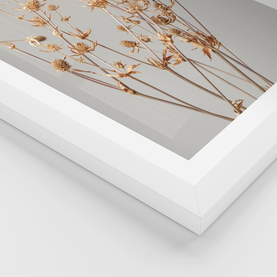 Plakat w ramie 30x40 - Delikatne gipsówki - gipsówka, suche - rama biała