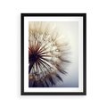 Plakat w ramie 40x50 - Makro piękno dmuchawca - makro, dmuchawiec - rama czarna