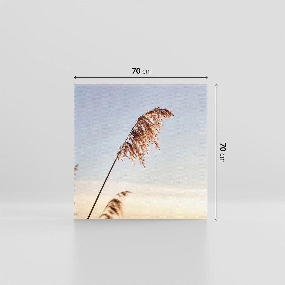 Obraz na płótnie 70x70 - Naturalna Delikatność - trawy, boho