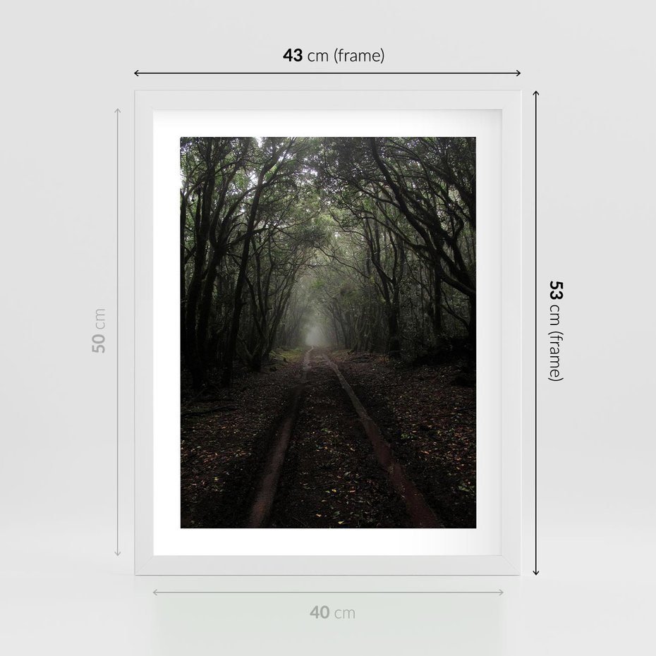 Plakat w ramie 40x50 - Urok Drogi - las, droga - rama biała