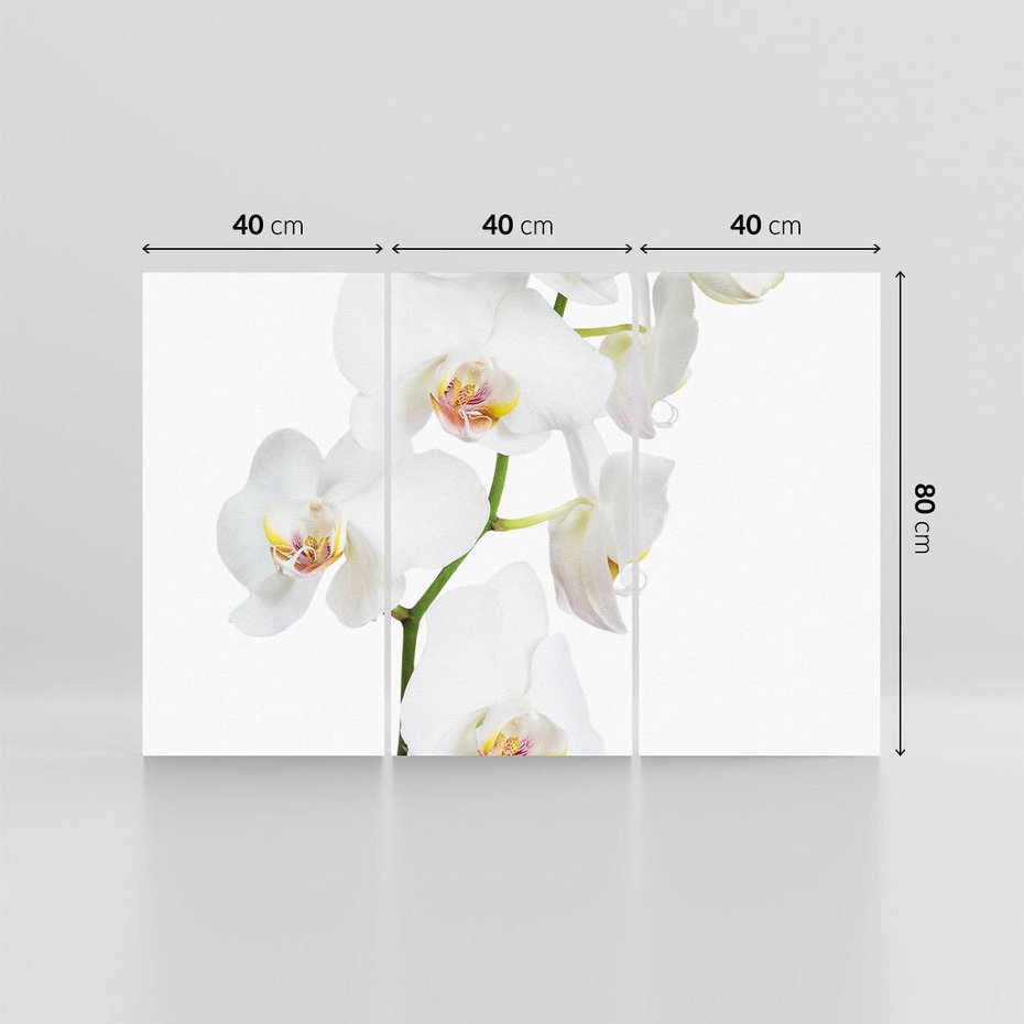 Obraz na płótnie 120x80 - Ekskluzywny Relaks - storczyk, spa