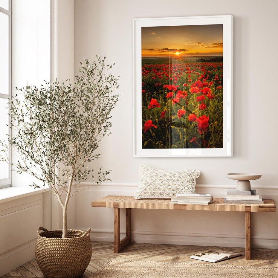 Plakat bez ramy 40x50 - Maki przy zachodzie słońca - maki, zachód