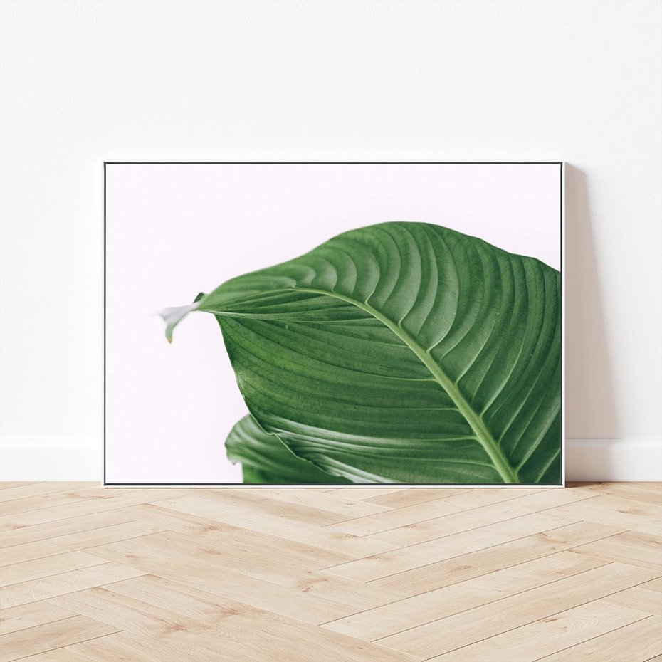Obraz w ramie 120x80 - Zielone liście monstery - liście, monstera - rama biała