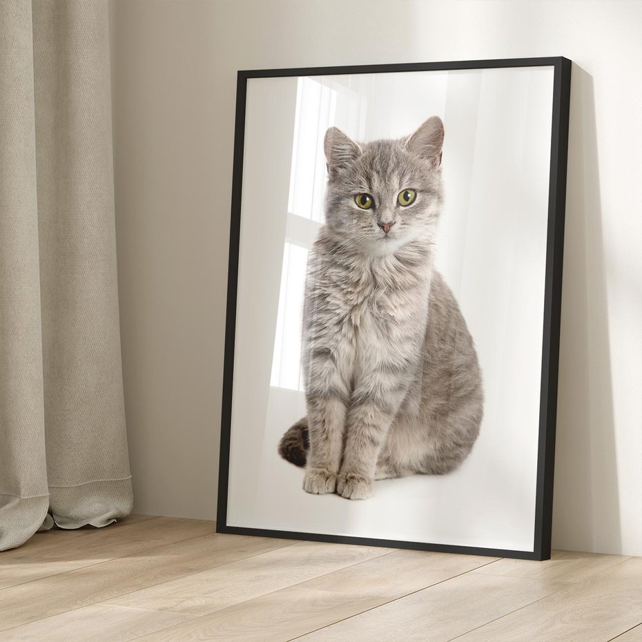 Plakat bez ramy 50x70 - Kocie uroki na płótnie - kot, kotek