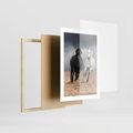 Plakat w ramie 30x40 - Siła koni w galopie - konie, galop - rama drewno