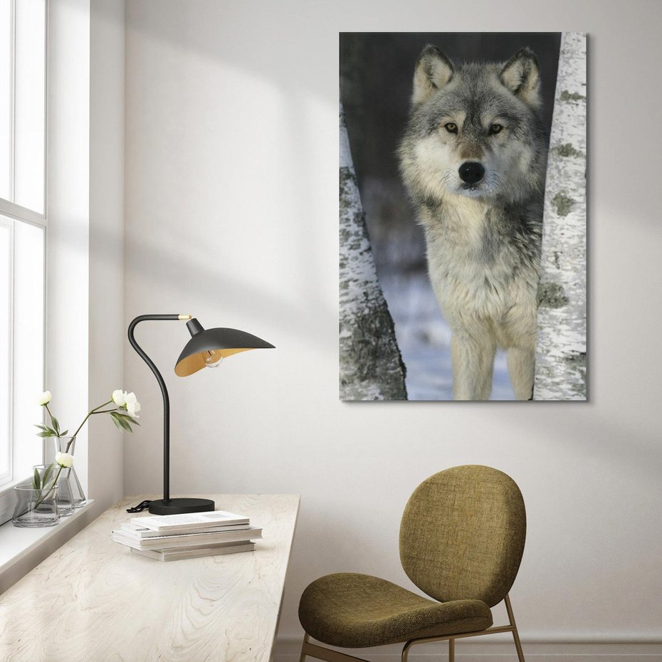 Obraz na płótnie 70x100 - Wilk w Zimowym Lesie - wilk, las