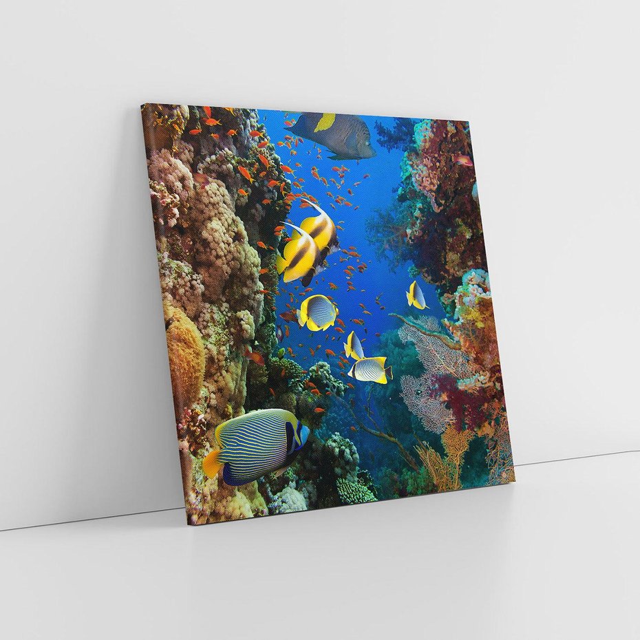 Obraz na płótnie 40x40 - Podwodne królestwo rafy koralowej - rafa, koralowa