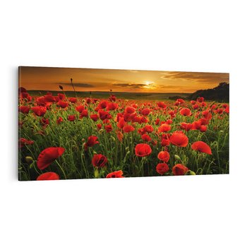Obraz na płótnie 120x60 - Maki na łące: Przebudzenie wiosny - mak, maki