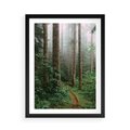 Plakat w ramie 50x70 - Mgliste Marzenia - artystyczna fotografia, las - rama czarna