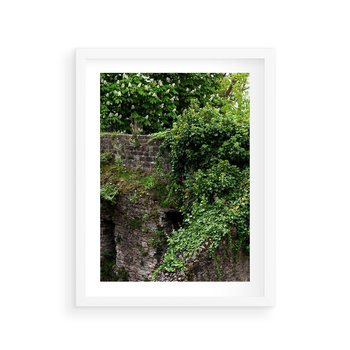 Plakat w ramie 50x70 - Żywiołowa Zieleń - mur, liście - rama biała