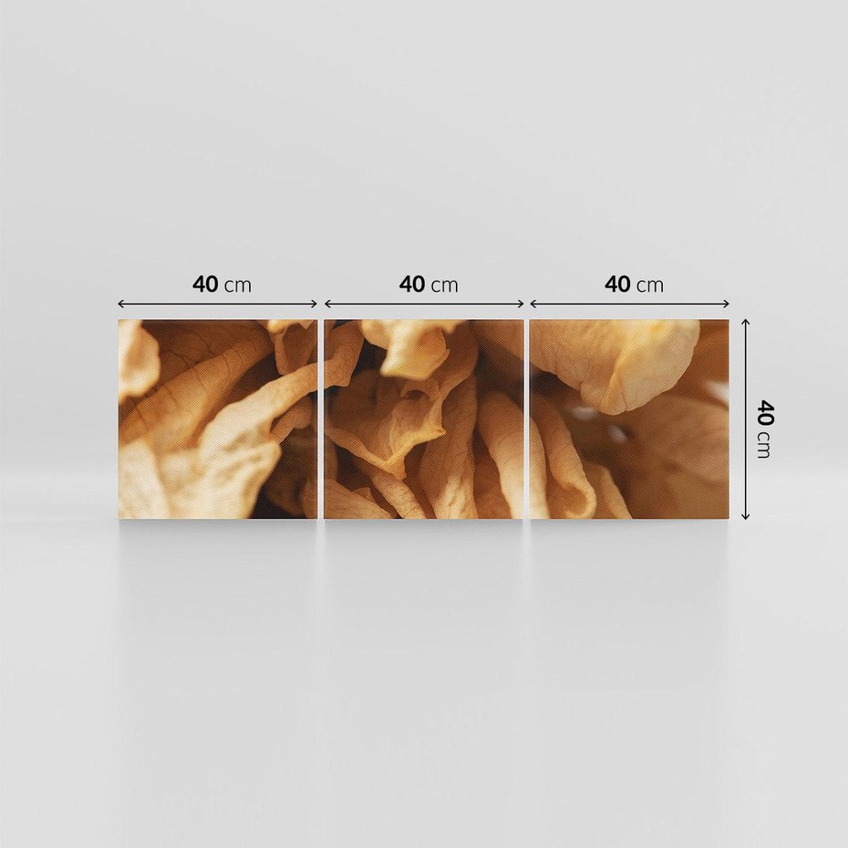 Obraz na płótnie 120x40 - Zjawiskowe zasuszone kwiaty - zasuszone, kwiaty