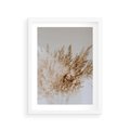 Plakat w ramie 30x40 - Boho Urok Traw Pampasowych - suche trawy, pampas - rama biała