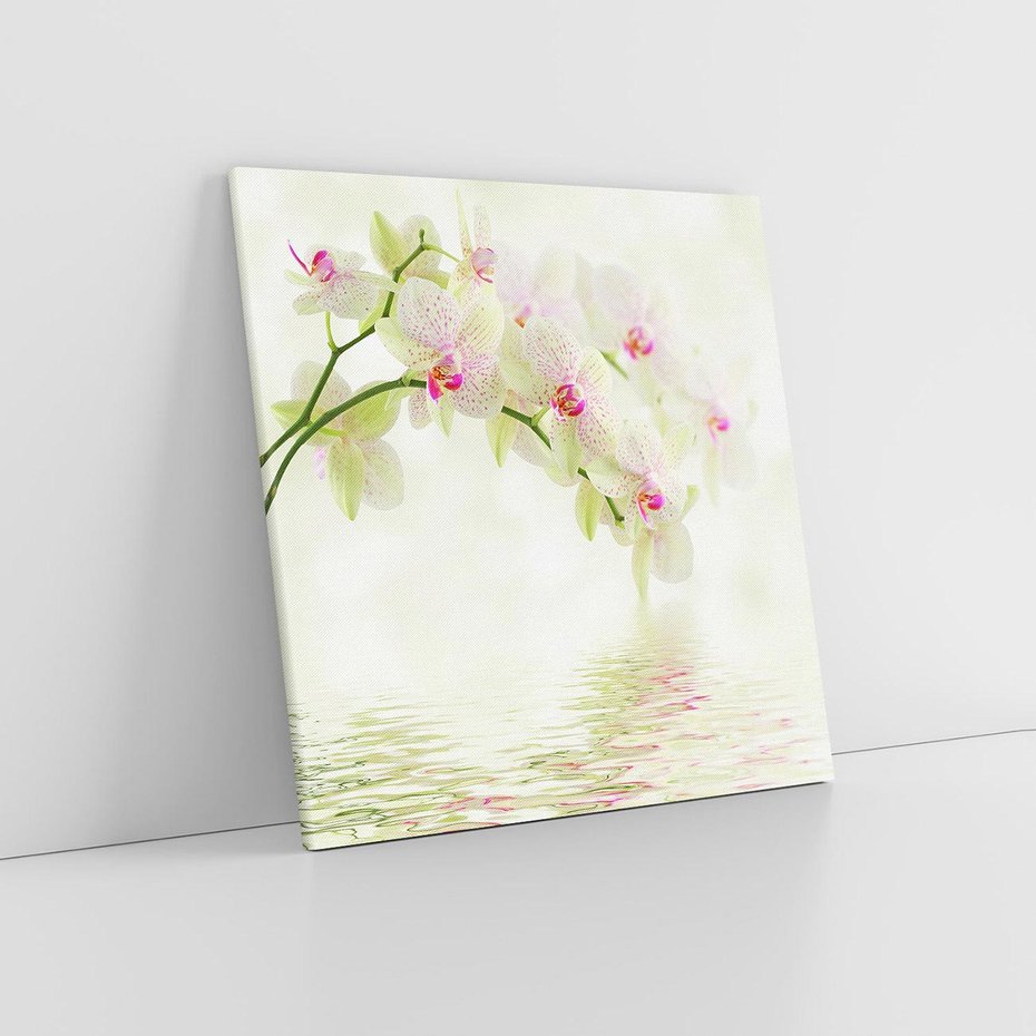 Obraz na płótnie 50x50 - Orchidea w Spa - orchidea, kwiaty