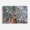 Obraz w ramie 70x50 - Monarcha Zimowej Dziczy - jeleń, zima - rama biała