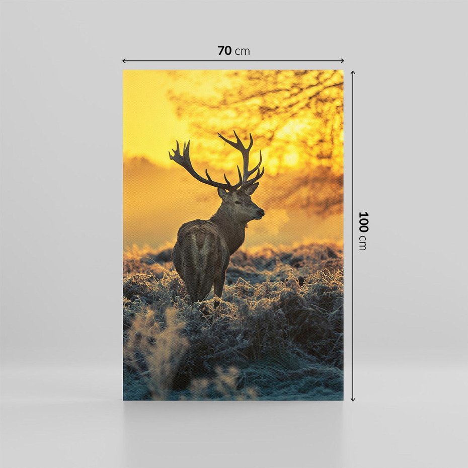 Obraz na płótnie 70x100 - Jesienne Spotkanie w Lesie - jeleń, jesień