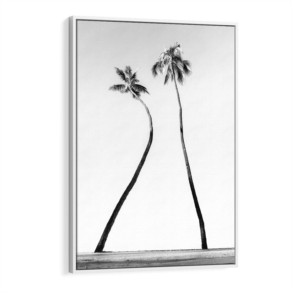Obraz w ramie 80x120 - Samotne Palmy - czarno biała fotografia, dwie samotne palmy - rama biała