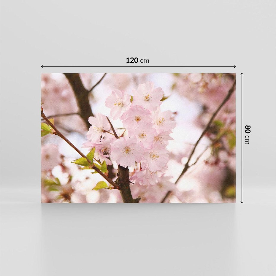 Obraz na płótnie 120x80 - Kwiatowe Różnorodnośc - kwiat, kwiaty