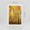 Plakat w ramie 50x70 - Jesienny Las - Kolorowa Paleta Natury - jesień, drzewa - rama biała