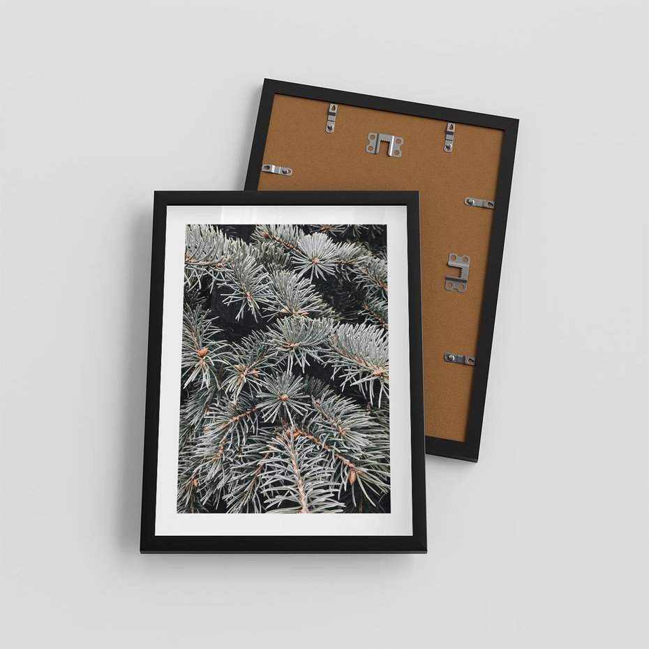 Plakat w ramie 30x40 - Zima na Gałęziach - sosnowe gałęzie, igły - rama czarna