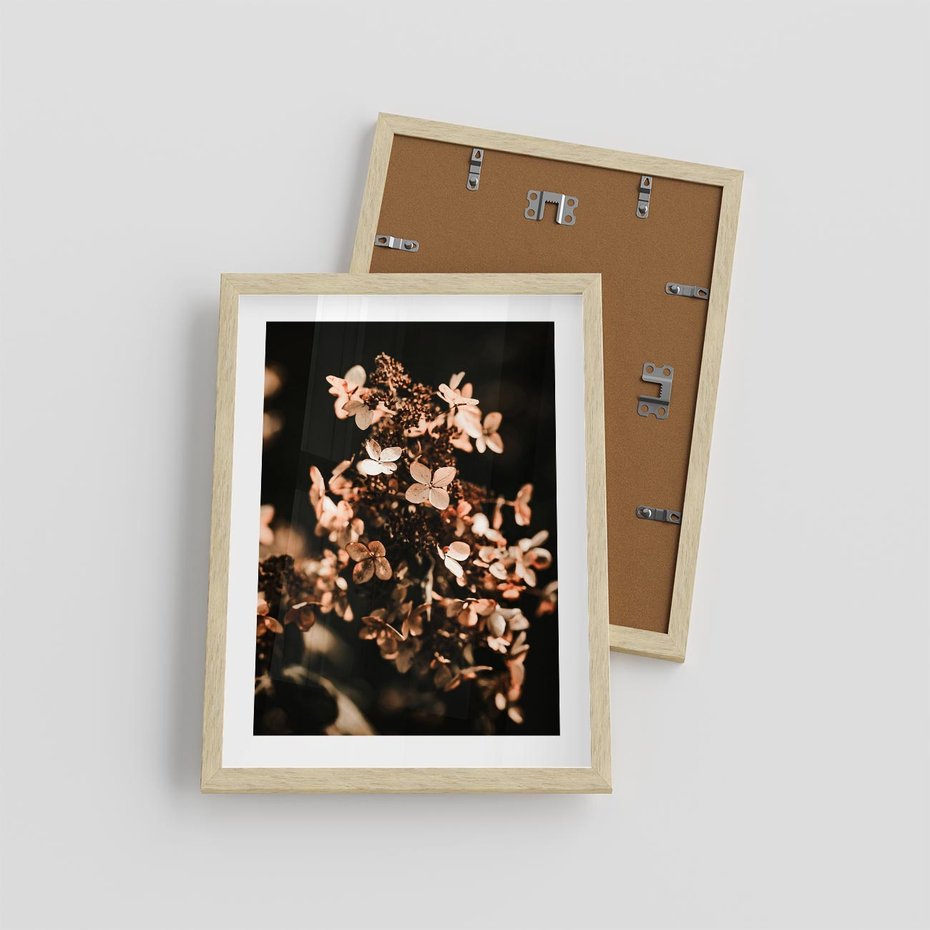 Plakat w ramie 30x40 - Hortensja - Suchy Kwiat w Sztuce - hortensja, suchy kwiat - rama drewno