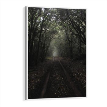 Obraz w ramie 50x70 - Urok Drogi - las, droga - rama biała