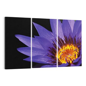 Obraz na płótnie 120x80 - Kwiatowa harmonia: Piękno natury - kwiat, kwiaty