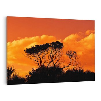 Obraz na płótnie 70x50 - Magiczne Drzewa na Tle Rozległej Sawanny - drzewa, sawanna