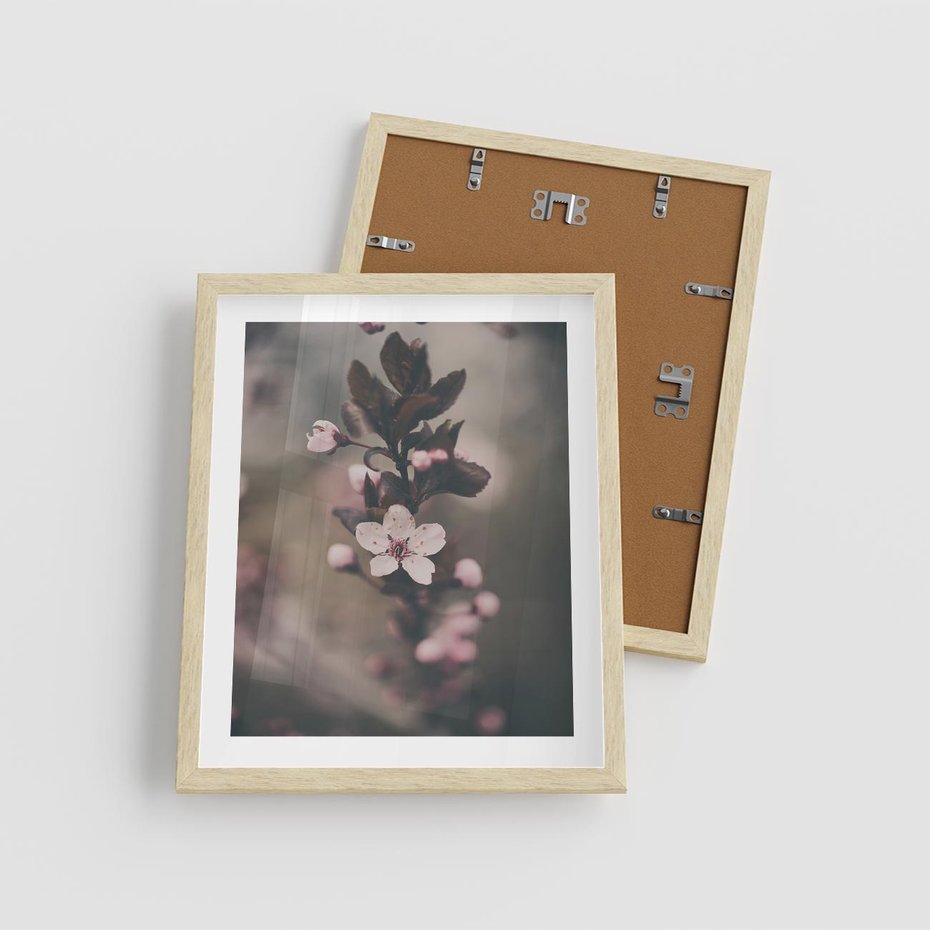 Plakat w ramie 40x50 - Przemijający Urok - kwitnąca, wiśnia - rama drewno