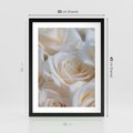 Plakat w ramie 30x40 - Białe róże piękności - białe, róże - rama czarna