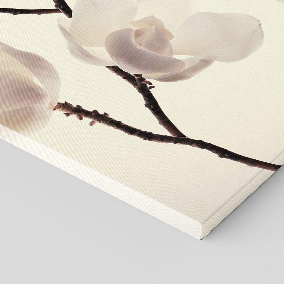Obraz na płótnie 50x70 - Elegancja Natury - magnolia, białe