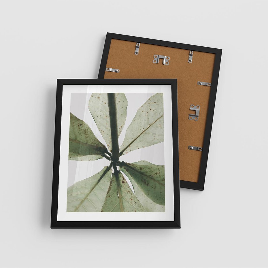 Plakat w ramie 40x50 - Jasna Zieleń w Makro - makro zdjęcie liści, jasna zieleń - rama czarna