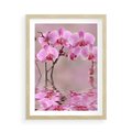 Plakat w ramie 50x70 - Relaksacyjne spa w otoczeniu storczyka - spa, storczyk - rama drewno