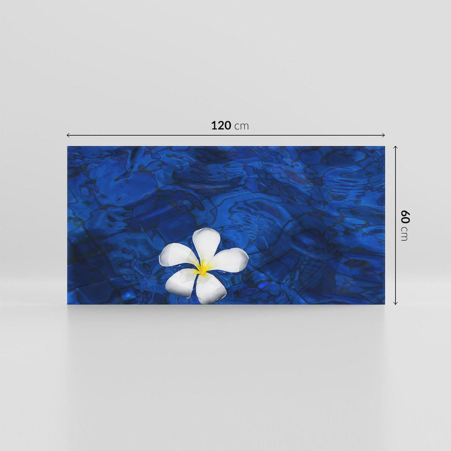 Obraz na płótnie 120x60 - Kwiaty wodne delikatność natury - kwiat, woda