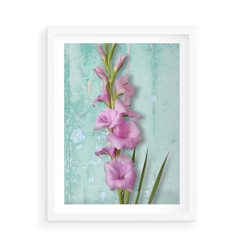 Plakat w ramie 50x70 - Piękno w delikatności - kwiaty, różowe - rama biała