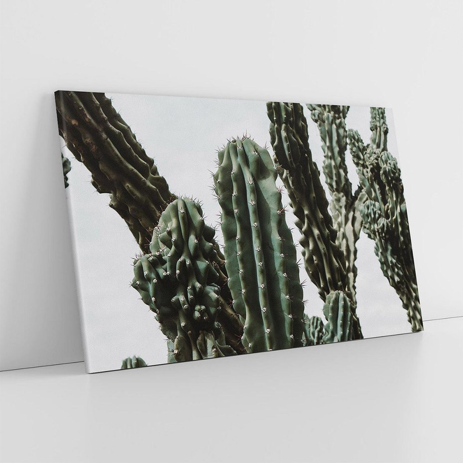 Obraz na płótnie 120x80 - Boho oaza wśród kaktusów - kaktusy, pustynia