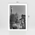 Plakat bez ramy 21x30 - Pustynny Klimat - czarno białe zdjecie, pustynia
